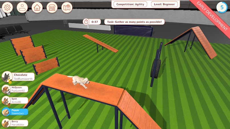 Agility and obedience trials and disc competition